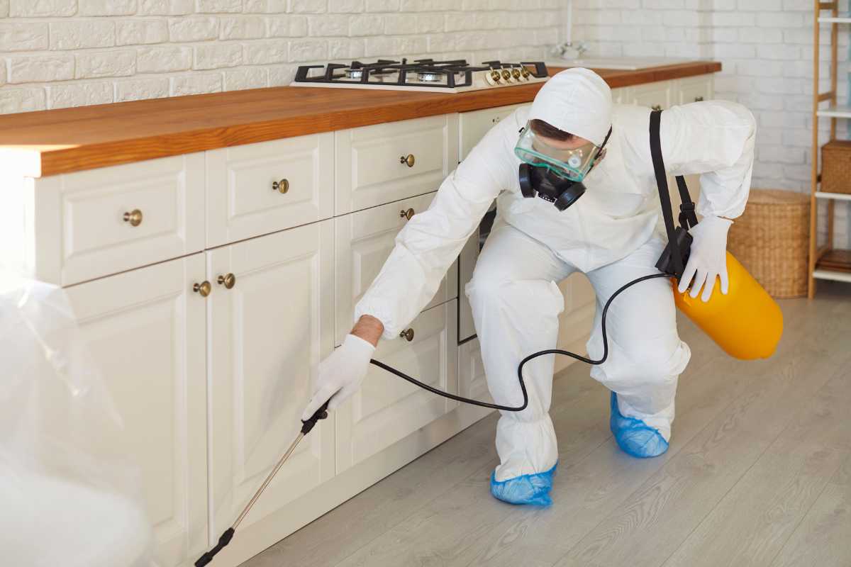Intervento su pesticidi in casa