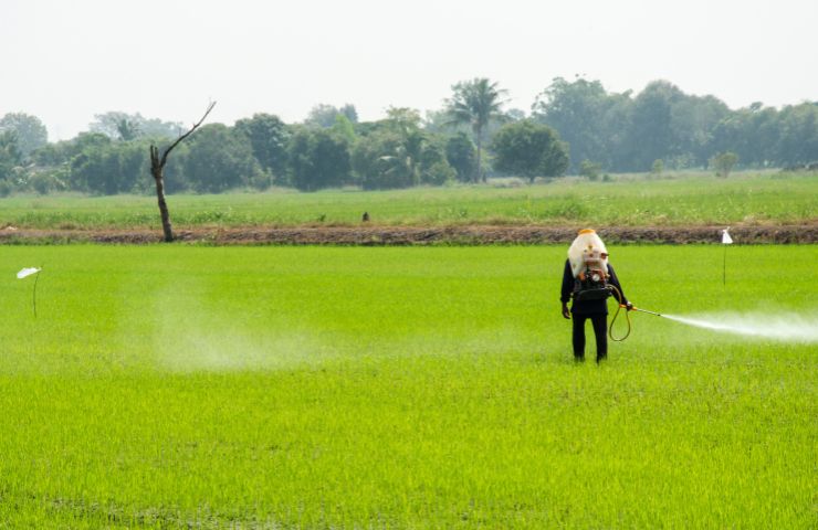 Un campo coperto di pesticidi