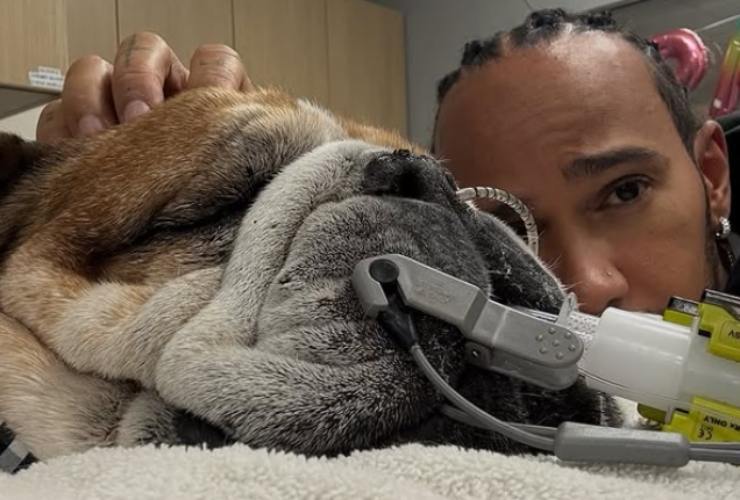 il pilota Lewis Hamilton con il suo cane